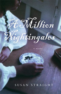 A Million nightingales by Susan Straight