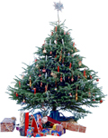 tree witth presents